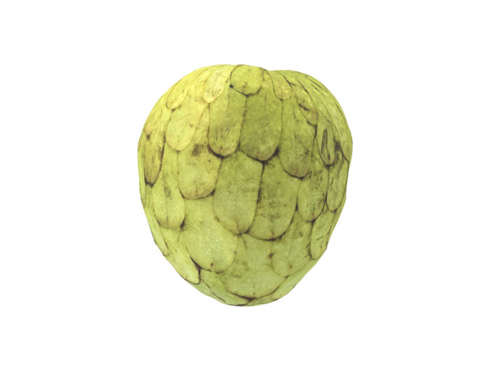 side view rendering of a cherimoya 3d model