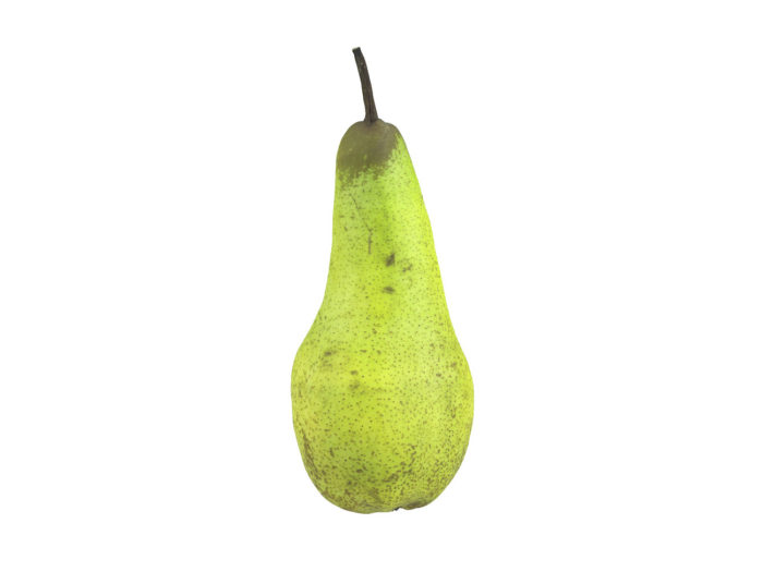 side view rendering of a pear 3d model