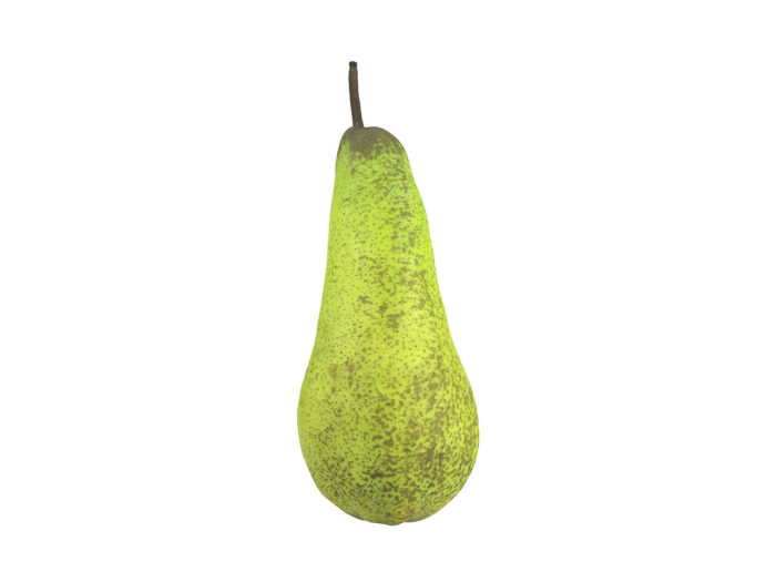 side view rendering of a pear 3d model
