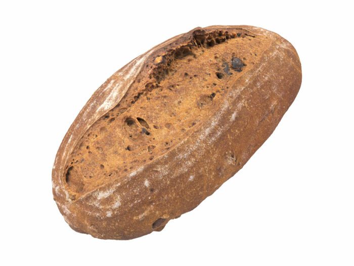 perspective view rendering of a walnut bread 3d model
