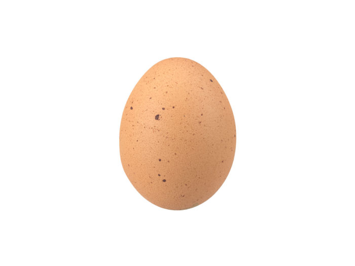 side view rendering of an egg 3d model