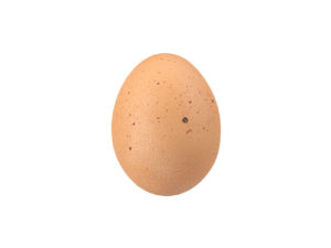 Egg #1
