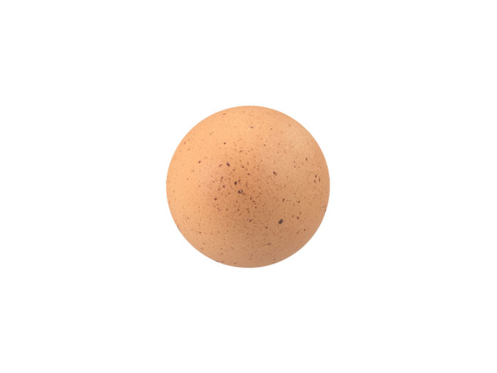 top view rendering of an egg 3d model