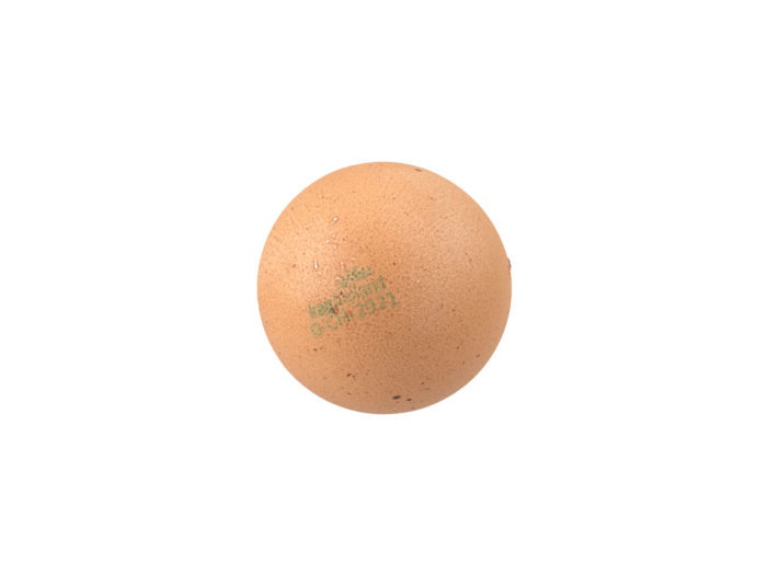 bottom view rendering of an egg 3d model
