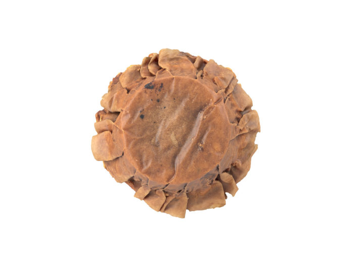 bottom view rendering of a banana walnut muffin 3d model
