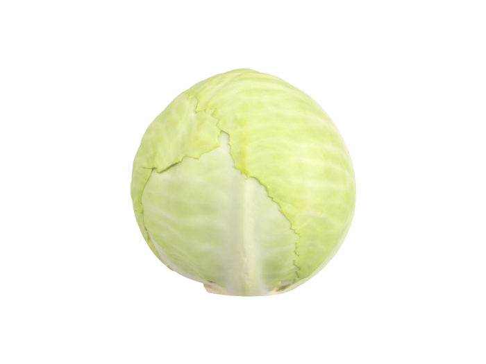 side view rendering of a cabbage 3d model