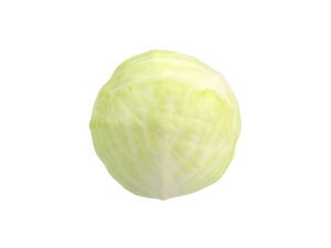 Cabbage #1