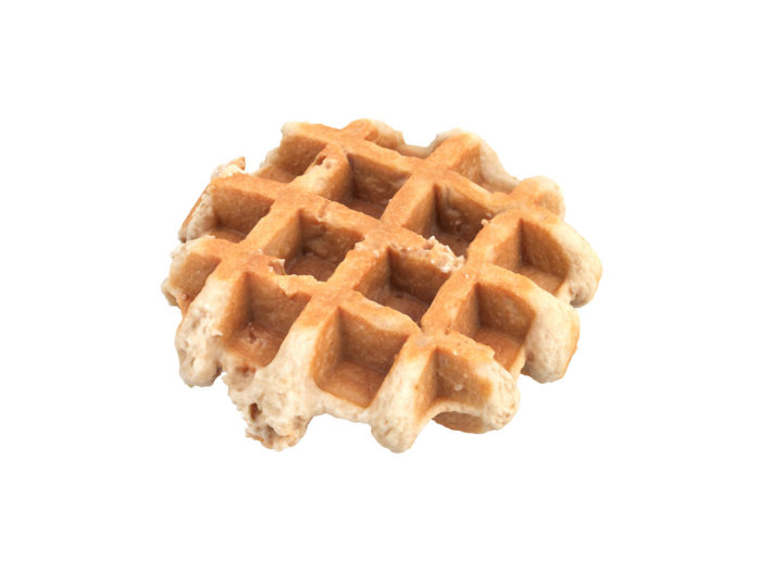 perspective view rendering of a waffle 3d model