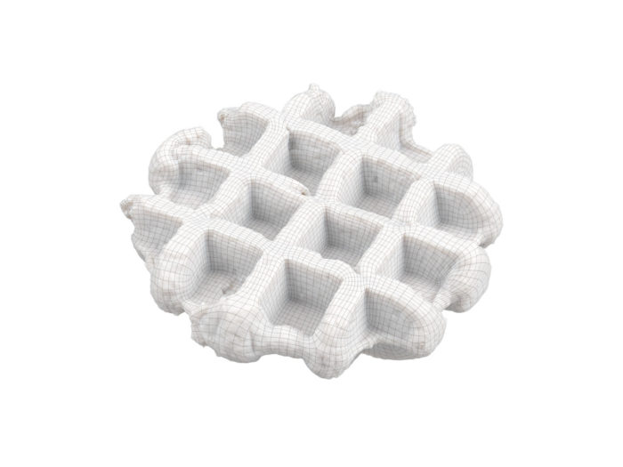 wireframe rendering of a waffle 3d model