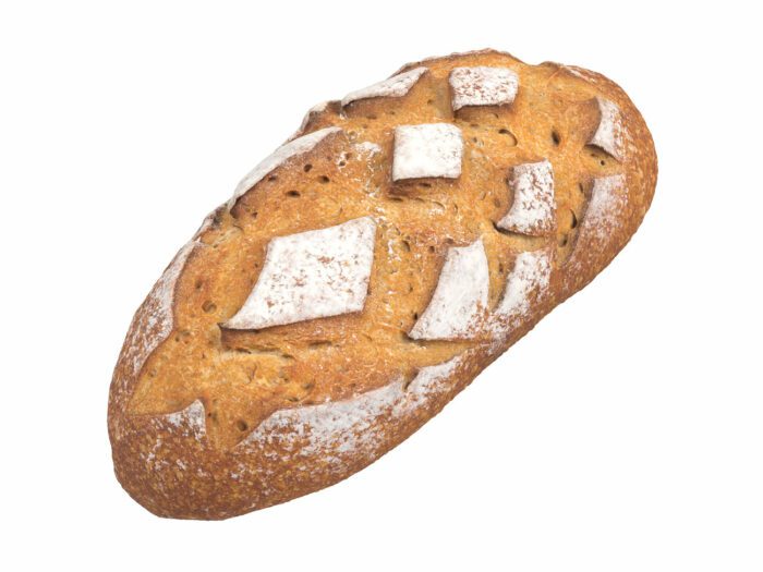 perspective view rendering of a bread 3d model