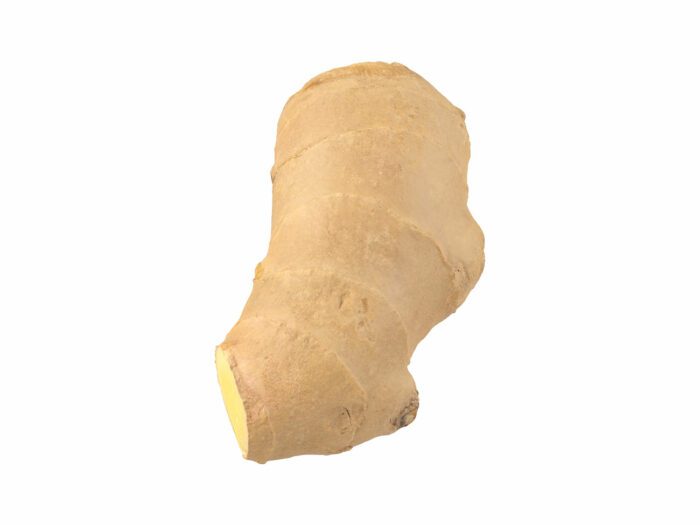 side view rendering of a ginger 3d model
