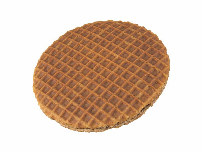 perspective view rendering of a honey waffle 3d model
