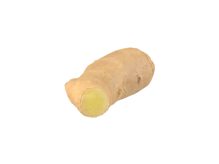 top view rendering of a ginger 3d model