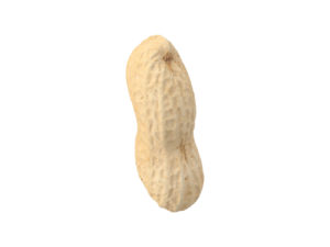 Peanut #1