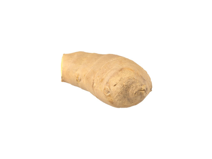 bottom view rendering of a ginger 3d model