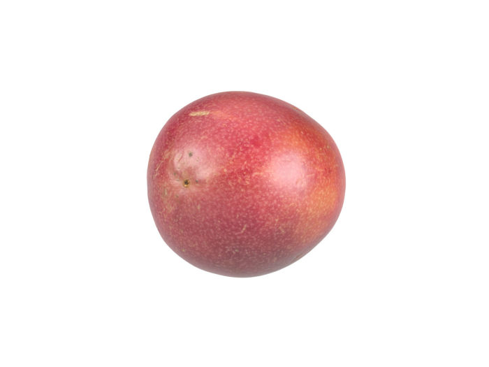 bottom view rendering of a passion fruit 3d model