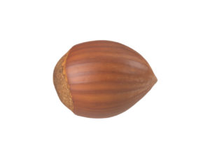 Hazelnut #1