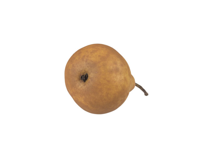 bottom view rendering of a pear 3d model