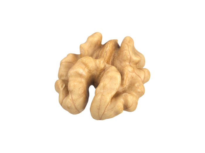 perspective view rendering of a walnut kernel 3d model