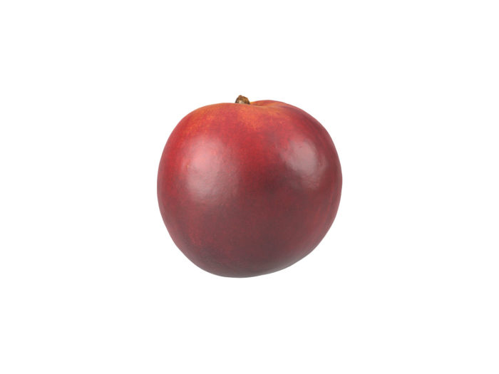 side view rendering of a nectarine 3d model