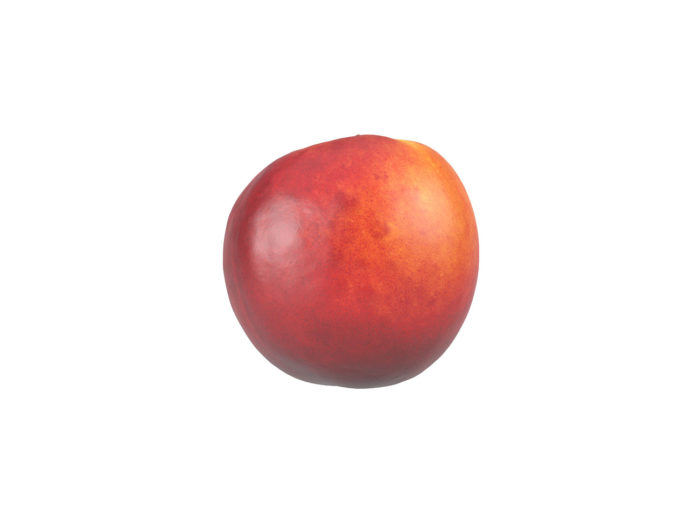 side view rendering of a nectarine 3d model