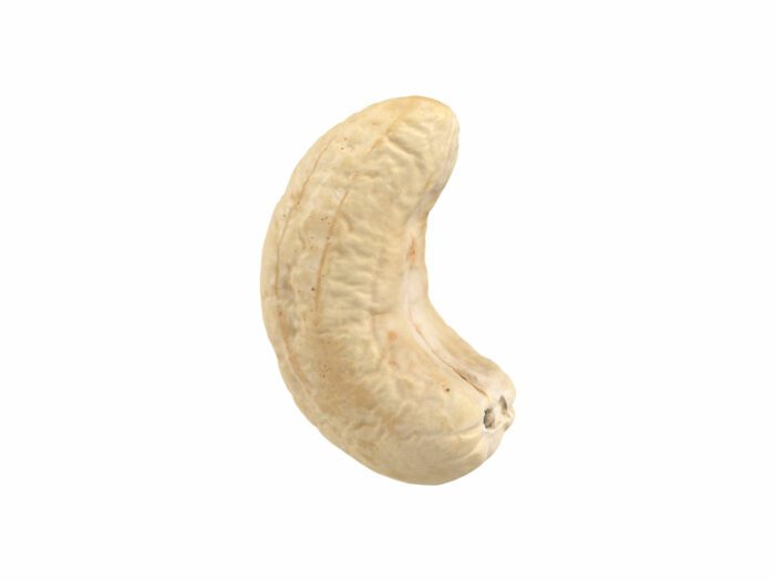 side view rendering of a cashew nut 3d model