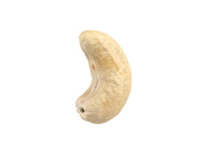 Cashew Nut #1