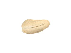 Cashew Nut #1