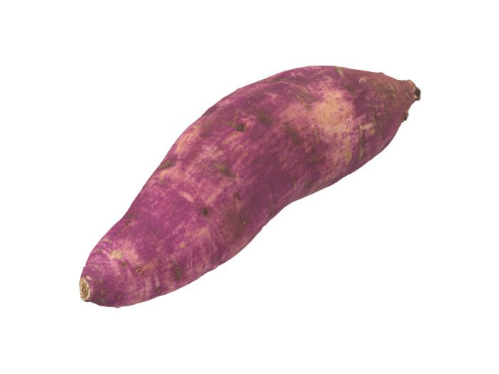 perspective view rendering of a sweet potato 3d model