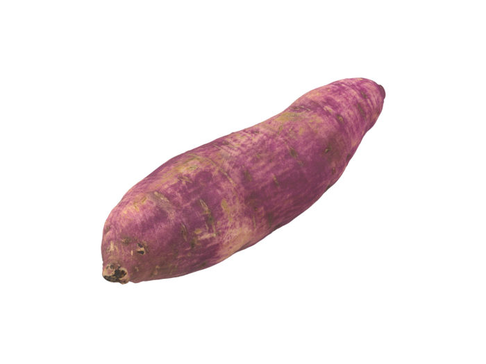 perspective view rendering of a sweet potato 3d model