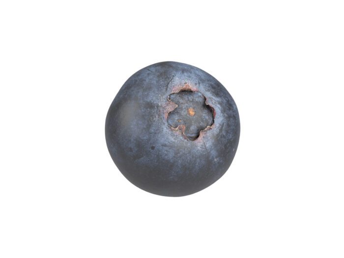 perspective view rendering of a blueberry 3d model