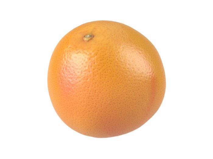 perspective view rendering of a grapefruit 3d model