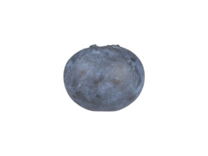 Blueberry #1