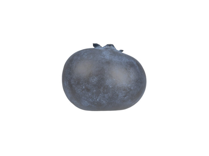 side view rendering of a blueberry 3d model