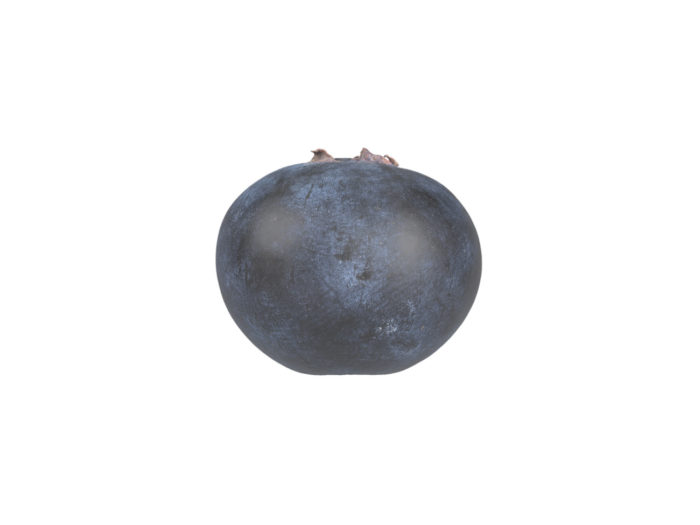 side view rendering of a blueberry 3d model