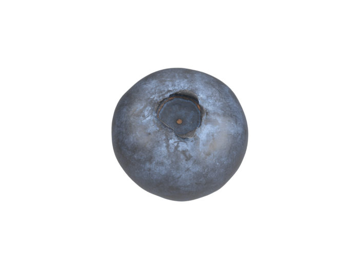 top view rendering of a blueberry 3d model