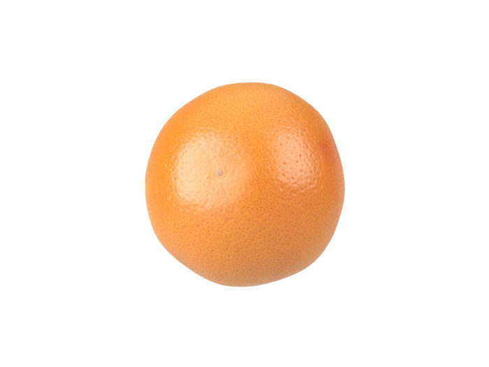 bottom view rendering of a grapefruit 3d model