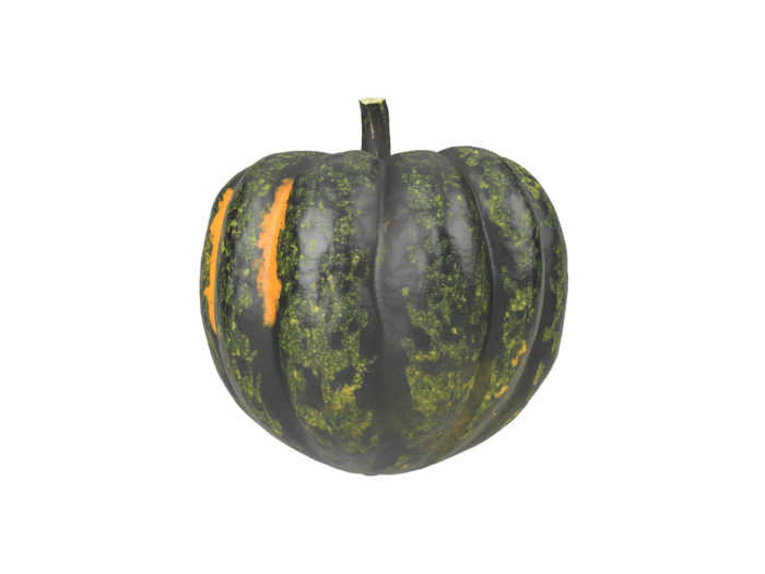 side view rendering of an acorn squash 3d model