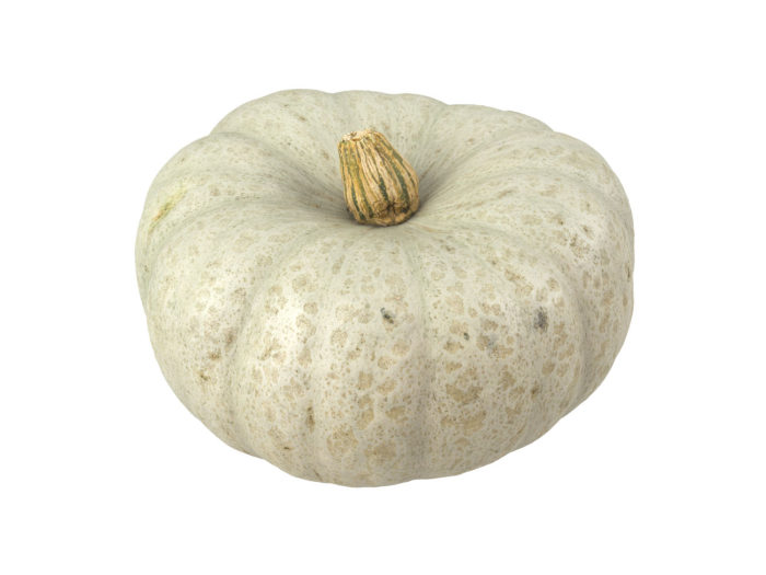 perspective view rendering of a kabocha squash 3d model