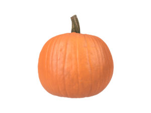Pumpkin #1