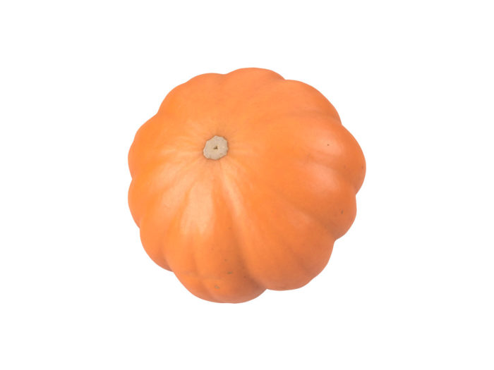 bottom view rendering of a mandarin pumpkin 3d model