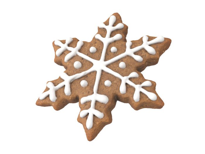 perspective view rendering of a gingerbread snowflake 3d model