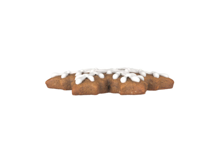 side view rendering of a gingerbread snowflake 3d model