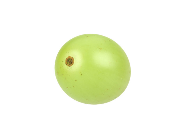 top view rendering of a grape 3d model