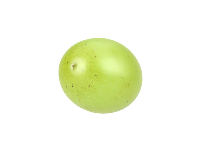 bottom view rendering of a grape 3d model