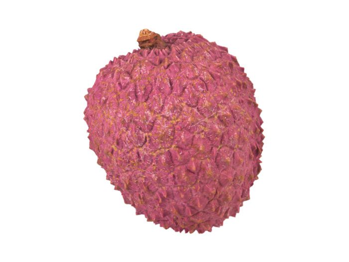 perspective view rendering of a lychee 3d model