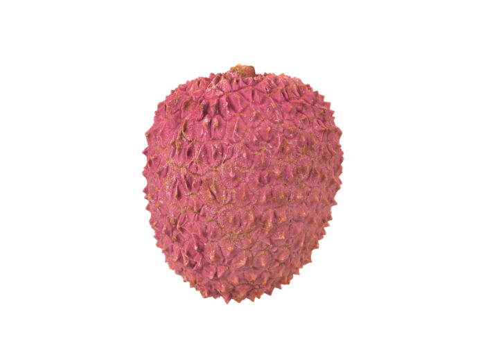 side view rendering of a lychee 3d model