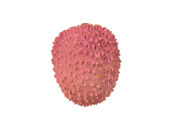 side view rendering of a lychee 3d model