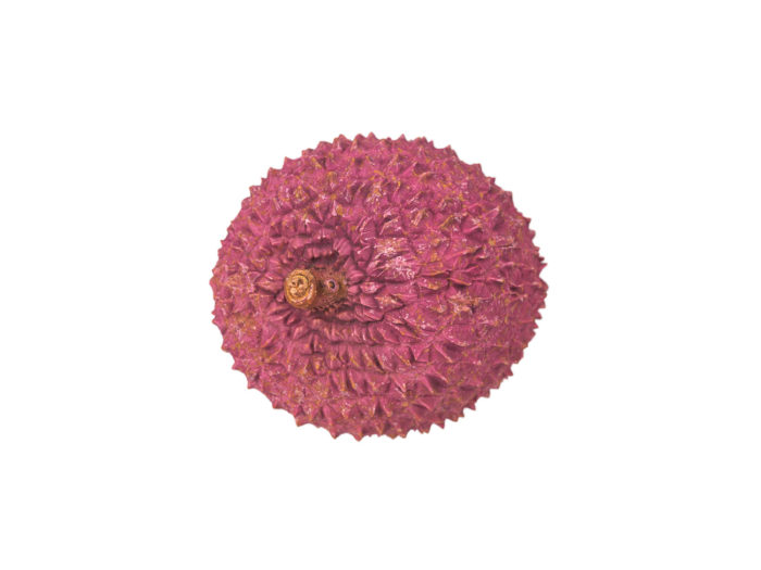 top view rendering of a lychee 3d model