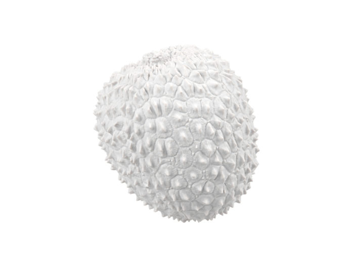 clay rendering of a lychee 3d model